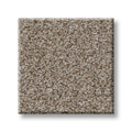 SHAW FLOORS - CARPET - SIMPLY THE BEST VALUES COLLECTION - TRUSPLENDOR - 12' - TIMELESS TAN