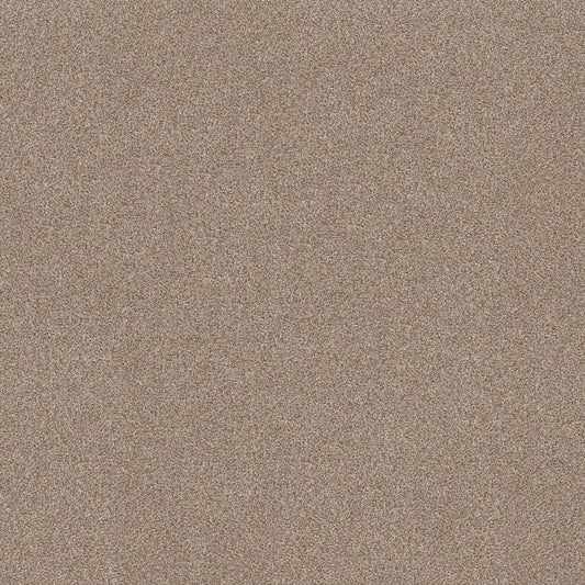 SHAW FLOORS - CARPET - SIMPLY THE BEST VALUES COLLECTION - TRUSPLENDOR - 12' - COTTAGE