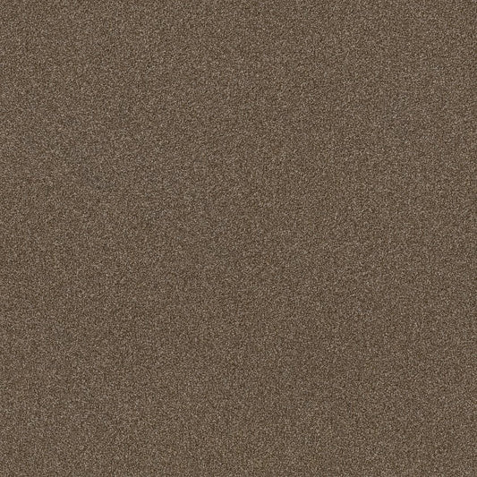 SHAW FLOORS - CARPET - SIMPLY THE BEST VALUES COLLECTION - TRUSPLENDOR - 12' - CHESTNUT