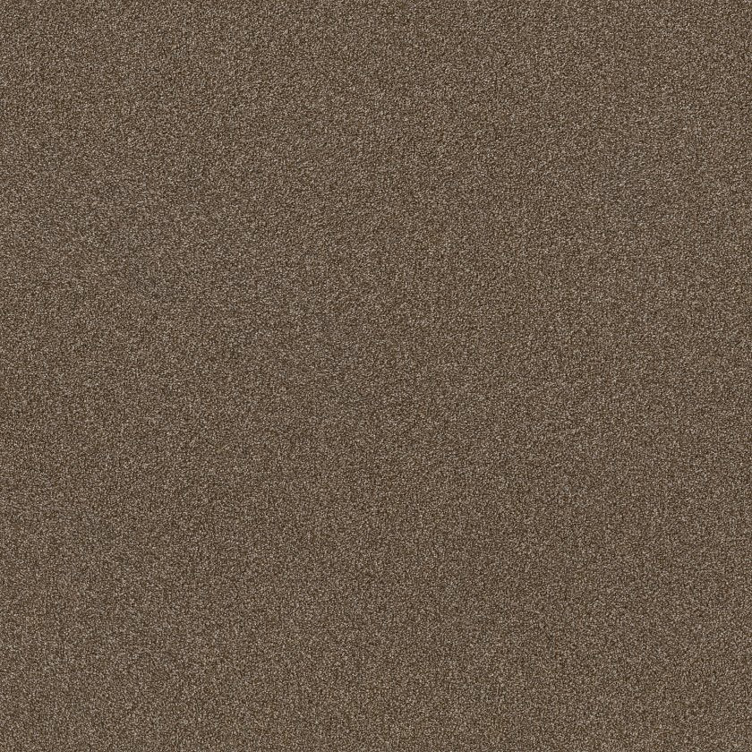 SHAW FLOORS - CARPET - SIMPLY THE BEST VALUES COLLECTION - TRUSPLENDOR - 12' - CHESTNUT