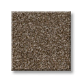 SHAW FLOORS - CARPET - SIMPLY THE BEST VALUES COLLECTION - TRUSPLENDOR - 12' - CHESTNUT