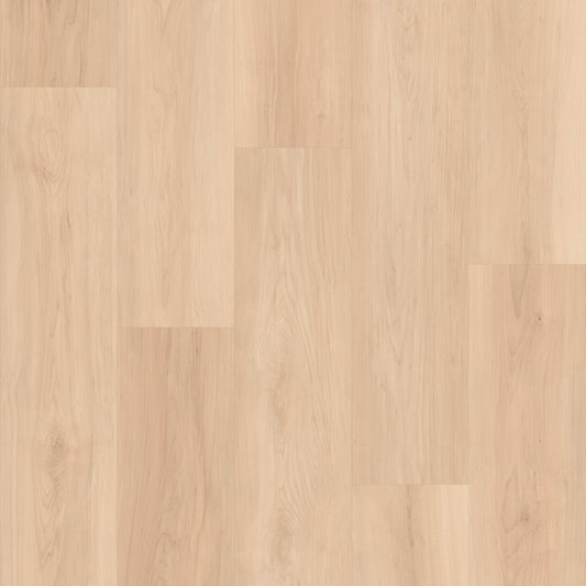 Cyrus Floors - Maple Essence Collection - Honey