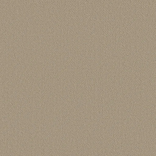 Shaw Floors - Carpet- Simply The Best - Highland Twill - Twine