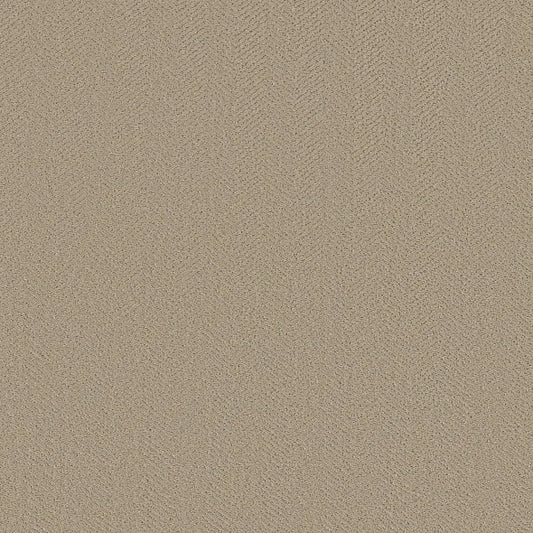 Shaw Floors - Carpet- Simply The Best - Highland Twill - Twine