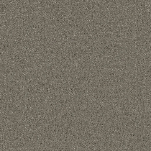 Shaw Floors - Carpet- Simply The Best - Highland Twill - Fallen Acorn