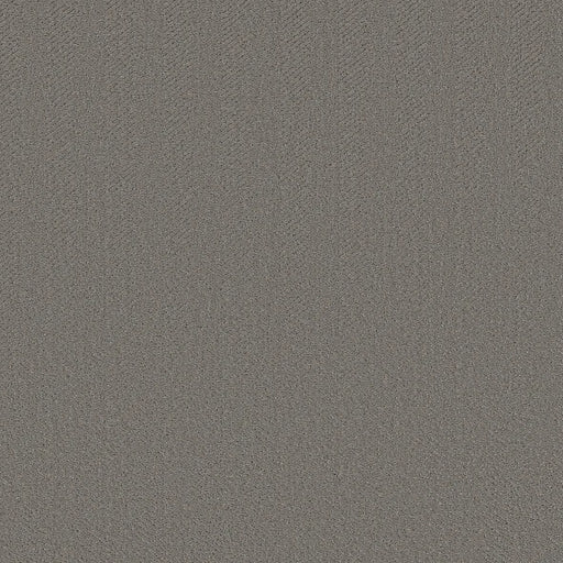 Shaw Floors - Carpet- Simply The Best - Highland Twill - Lunar Haze