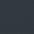 Shaw Floors - Carpet - Classics Collection  - Awaken Spirit I 12' - Midnight Sky