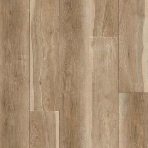 MSI Surfaces - Andover Collection - Bayhill Blonde