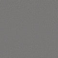 Shaw Floors - Carpet - Classics Collection  - Awaken Spirit II - 12'- Magnetic
