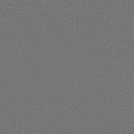 Shaw Floors - Carpet - Classics Collection  - Awaken Spirit I 12'- Magnetic