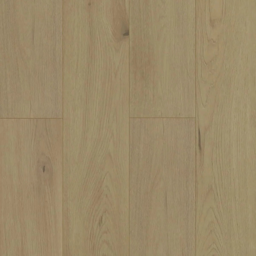 GoodFellow - Oceanic Collection - Mariana