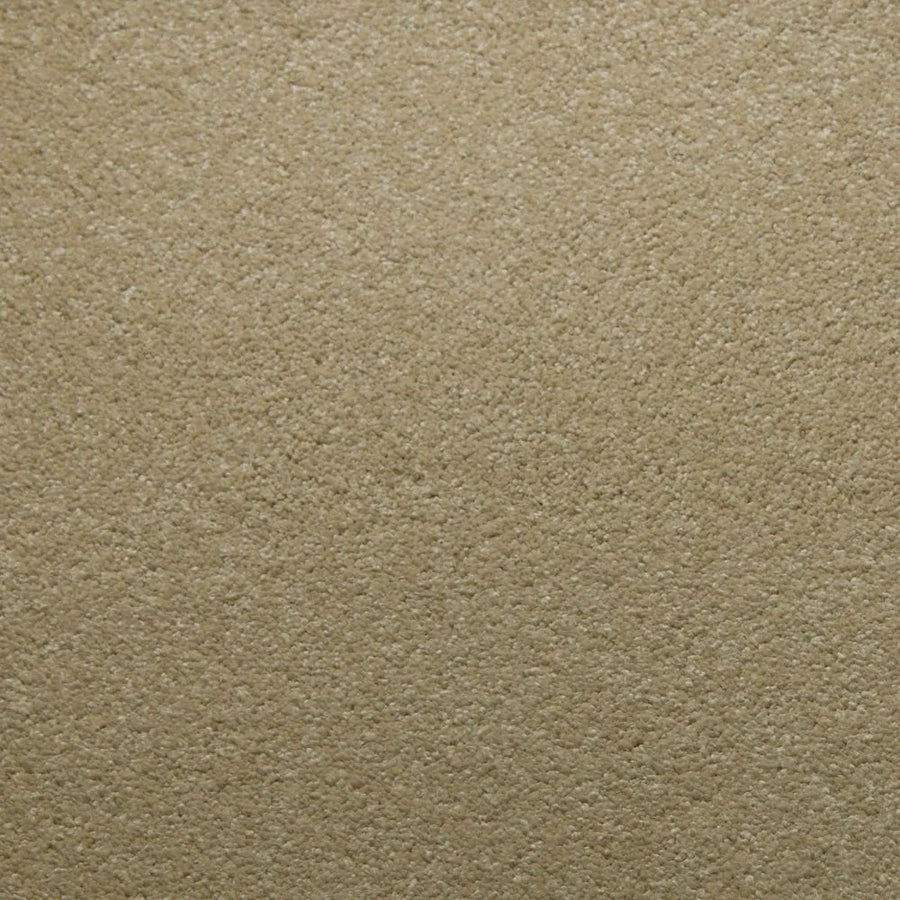 Primco - Estates Carpet - Tender Collection - Moonstone