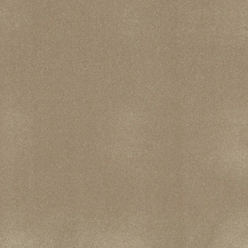 Shaw Floors - Carpet - Classics Collection  - Awaken Spirit II - 12' - Muffin