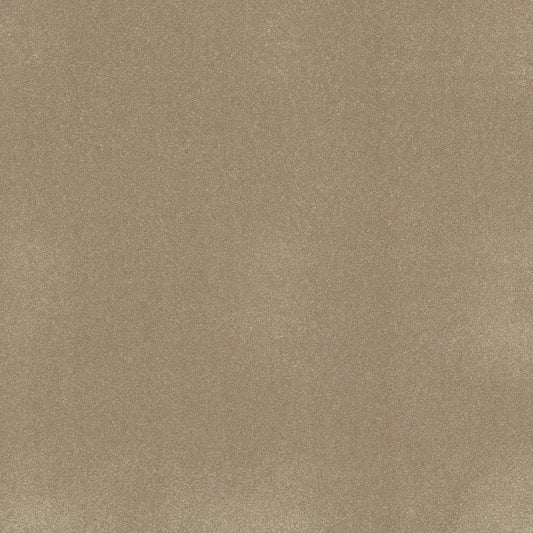 Shaw Floors - Carpet - Classics Collection  - Awaken Spirit II - 12' - Muffin