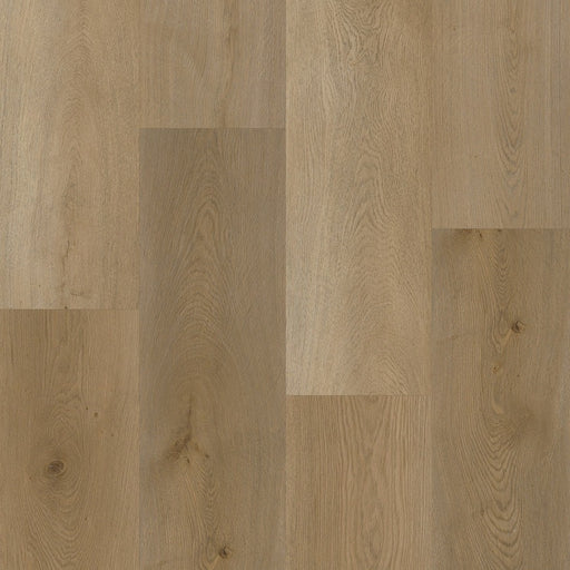 Caledon - Goliath Collection - Mystic Forest