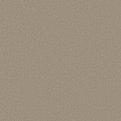 Shaw Floors - Carpet - Classics Collection  - Awaken Spirit II - 12' - Neutral Ground