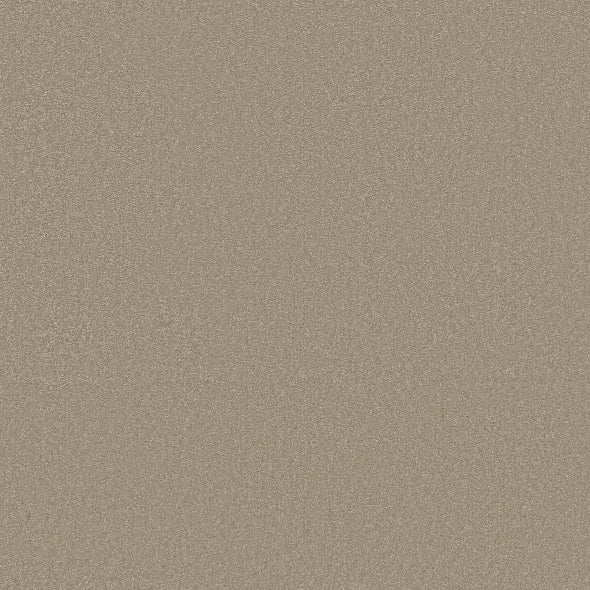 Shaw Floors - Carpet - Classics Collection  - Awaken Spirit II - 15' - Neutral Ground