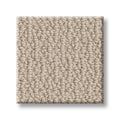 SHAW FLOORS - CARPET - SIMPLY THE BEST - LOOP DE LOOP - NATURAL WOOD