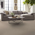SHAW FLOORS - CARPET - SIMPLY THE BEST - LOOP DE LOOP - NATURAL WOOD
