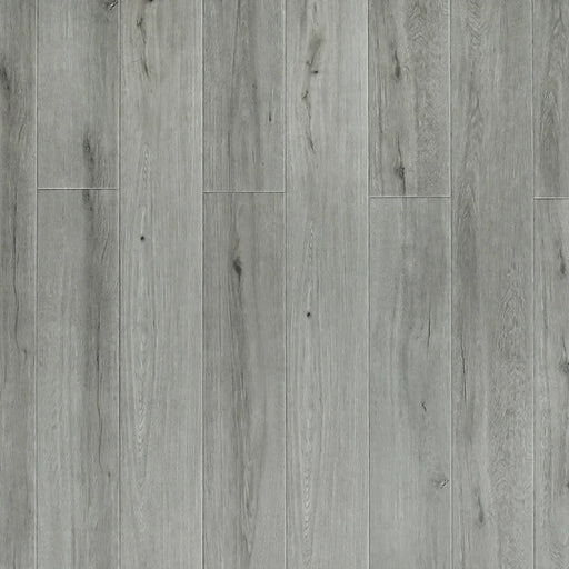 Toucan - SPC905 - Night Breeze