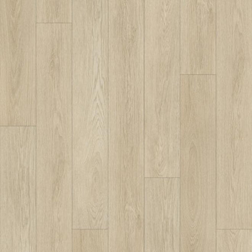 TAIGA - Aquila Collection - Nurture