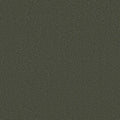 Shaw Floors - Carpet - Classics Collection  - Awaken Spirit II - 12' - Olive Tree