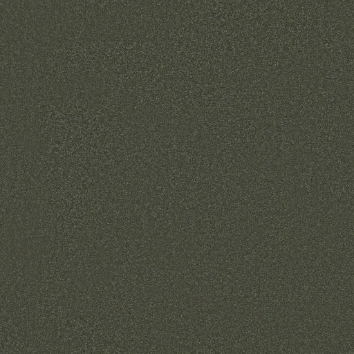 Shaw Floors - Carpet - Classics Collection  - Awaken Spirit II - 12' - Olive Tree