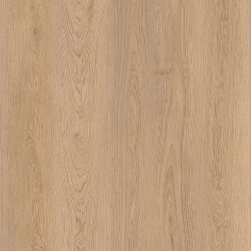 Goodfellow - Arctik Collection - Oak Natural