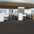 Shaw Floors - 5th & Main Carpet - Native Collection - ORIGINAL