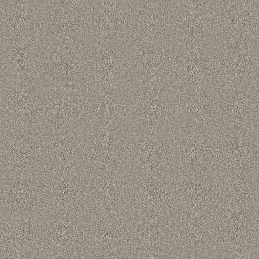 Shaw Floors - Carpet - Simply The Best  - TRUSOLUTIONS III - Stone Path