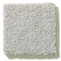 Shaw Floors - Carpet - Simply The Best  - Attainable - Platinum