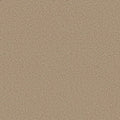 Shaw Floors - Carpet - COMFORTING I - Picket Fence