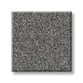 Shaw Floors - Carpet - COMFORTING II - Pencil Point