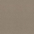 Shaw Floors - Carpet - Simply The Best  - Attainable - Pebble Path