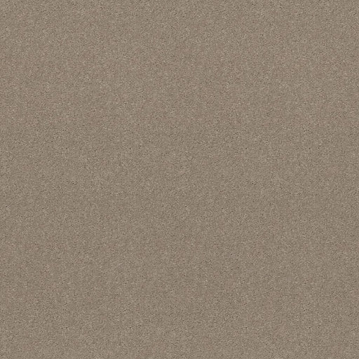 Shaw Floors - Carpet - Simply The Best  - Attainable - Pebble Path