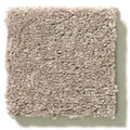 Shaw Floors - Carpet - Simply The Best  - Attainable - Pebble Path