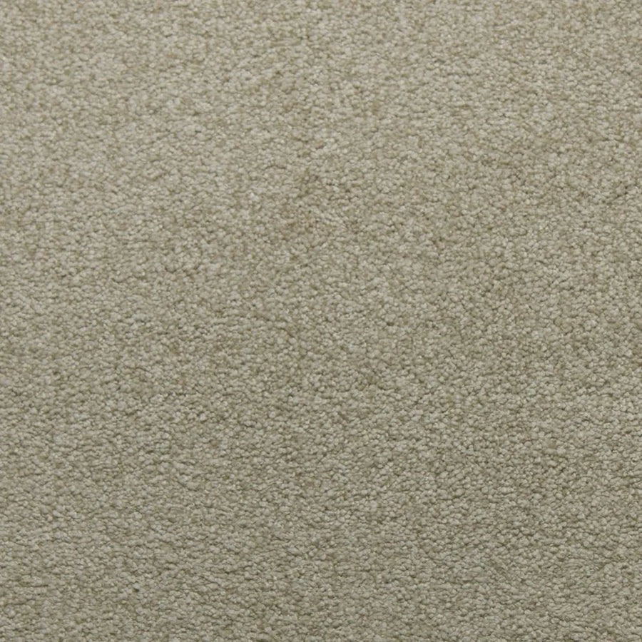 Primco - Estates Carpet - Tender Collection - Peace