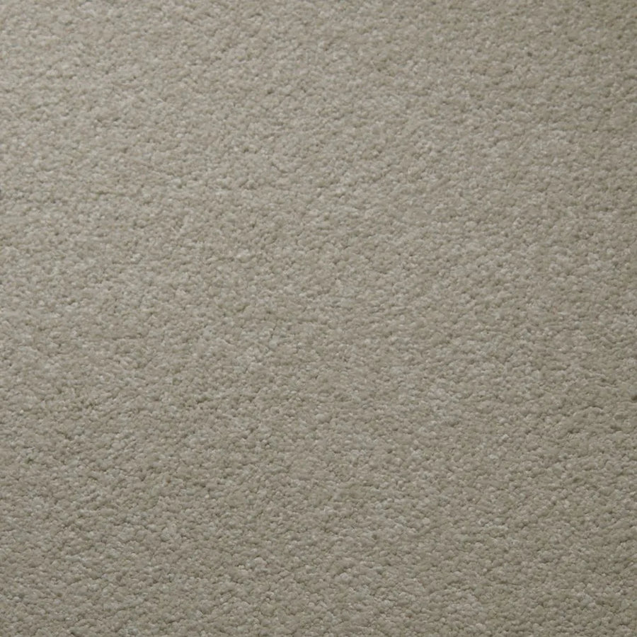Primco - Estates Carpet - Tender Collection - Pearl
