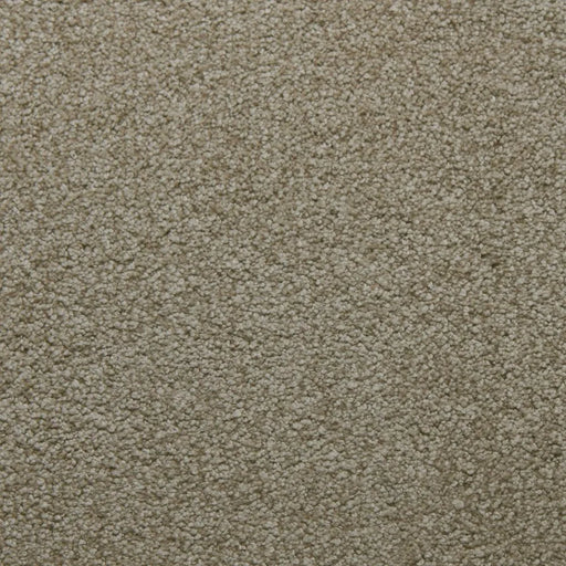 Primco - Estates Carpet - Soft Spoken Collection - Perseverance