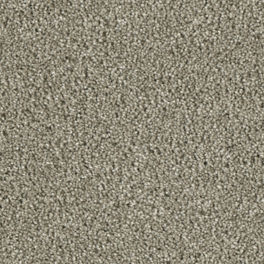 Primco - Estates Carpet - Majesty Collection - Polish