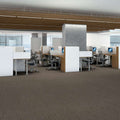 Shaw Floors - 5th & Main Carpet - Native Collection - PRIME