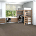 Shaw Floors - 5th & Main Carpet - Native Collection - PRIME