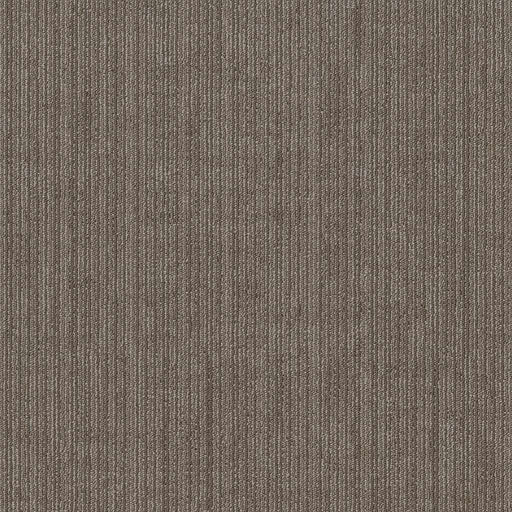 Shaw Floors - 5th & Main Carpet - Native Collection - PRIME