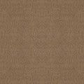 Shaw Floors - Carpet - Foundations Collection  - Alluring Canvas - Raw Wood