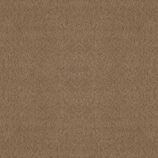 Shaw Floors - Carpet - Foundations Collection  - Alluring Canvas - Raw Wood