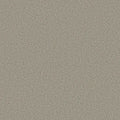 Shaw Floors - Carpet - COMFORTING I - Rustic