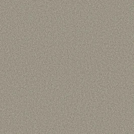 Shaw Floors - Carpet - COMFORTING II - Rustic