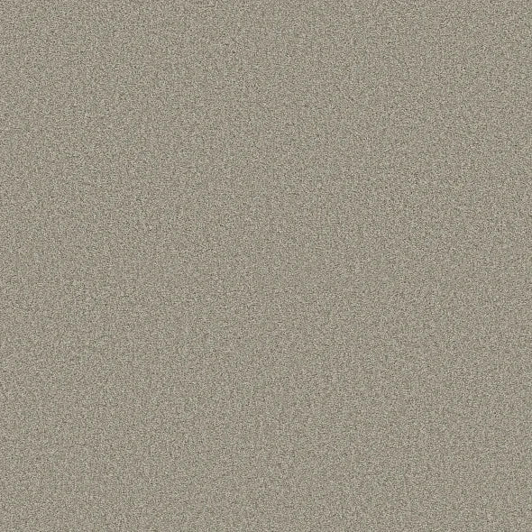 Shaw Floors - Carpet - COMFORTING I - Rustic