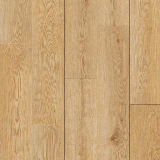 TAIGA - HydroXpert Collection - Roasted Brown