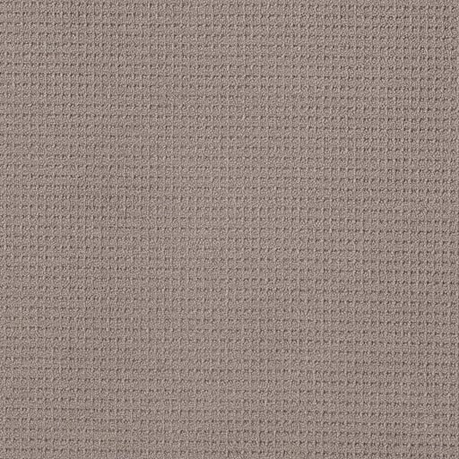 Shaw Floors - Carpet - Foundations Collection - Faint Intent - River Run